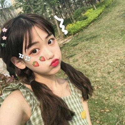 追鹰日记